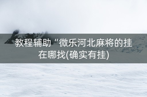 教程辅助“微乐河北麻将的挂在哪找(确实有挂)