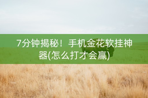 7分钟揭秘！手机金花软挂神器(怎么打才会赢)