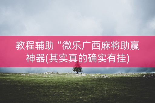 教程辅助“微乐广西麻将助赢神器(其实真的确实有挂)
