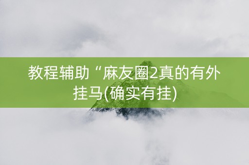 教程辅助“麻友圈2真的有外挂马(确实有挂)