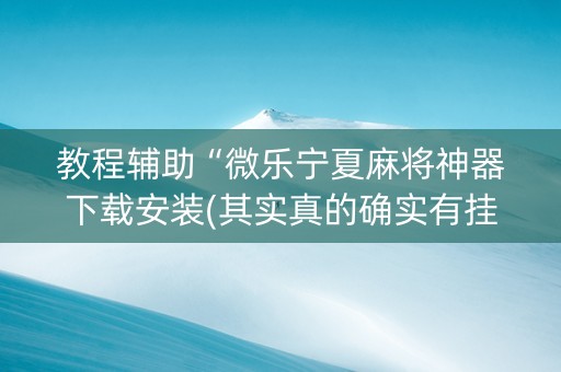 教程辅助“微乐宁夏麻将神器下载安装(其实真的确实有挂)