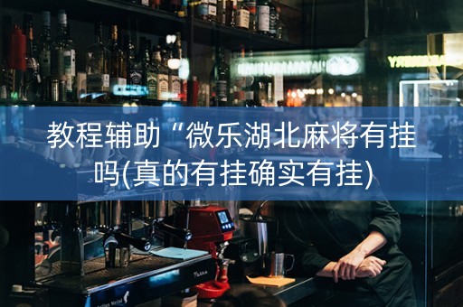 教程辅助“微乐湖北麻将有挂吗(真的有挂确实有挂)