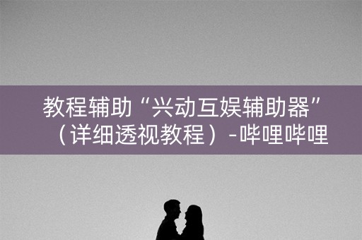 教程辅助“兴动互娱辅助器”（详细透视教程）-哔哩哔哩