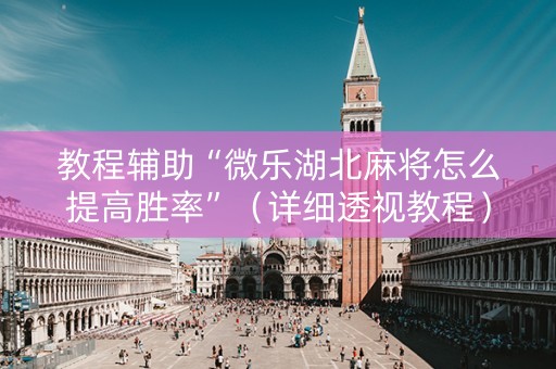 教程辅助“微乐湖北麻将怎么提高胜率”（详细透视教程）-哔哩哔哩