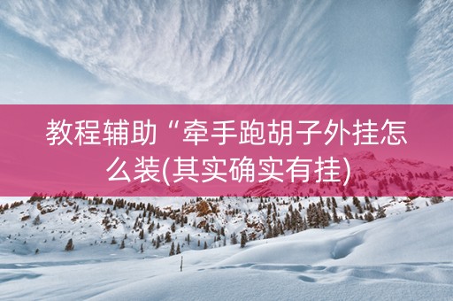 教程辅助“牵手跑胡子外挂怎么装(其实确实有挂)