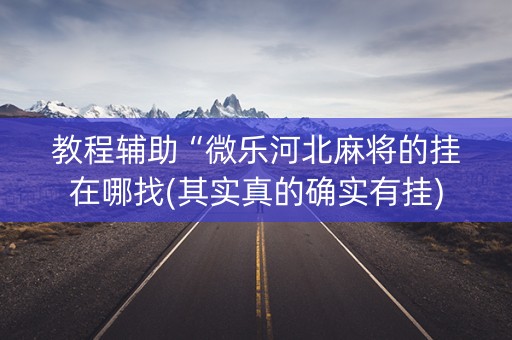 教程辅助“微乐河北麻将的挂在哪找(其实真的确实有挂)