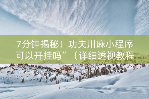 7分钟揭秘！功夫川麻小程序可以开挂吗”（详细透视教程）-哔哩哔哩