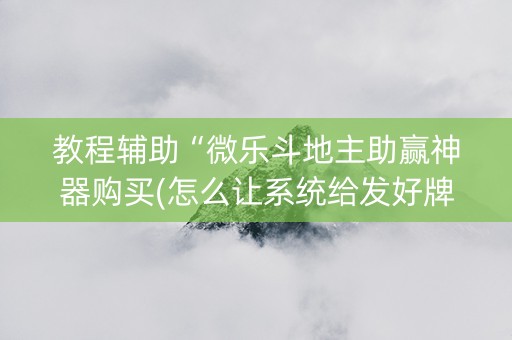 教程辅助“微乐斗地主助赢神器购买(怎么让系统给发好牌)