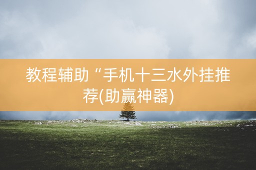 教程辅助“手机十三水外挂推荐(助赢神器)