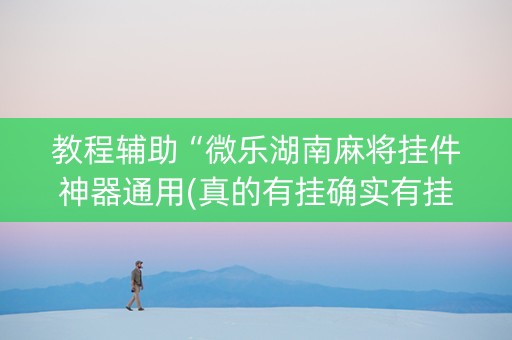教程辅助“微乐湖南麻将挂件神器通用(真的有挂确实有挂)