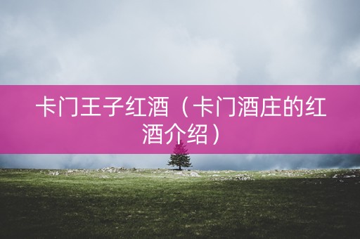 卡门王子红酒（卡门酒庄的红酒介绍）
