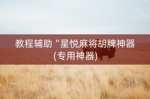 教程辅助“星悦麻将胡牌神器(专用神器)
