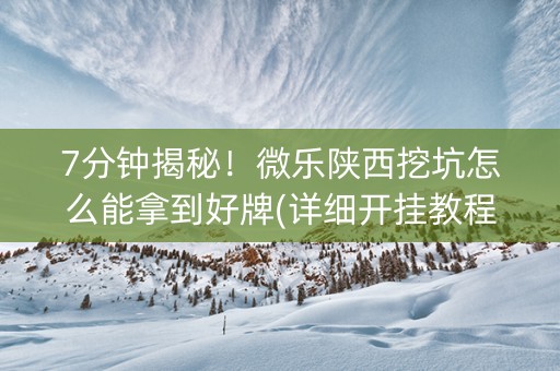 7分钟揭秘！微乐陕西挖坑怎么能拿到好牌(详细开挂教程)