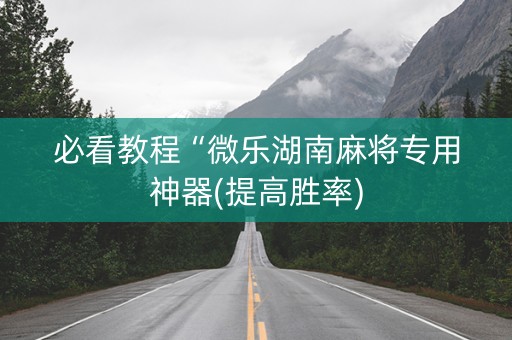 必看教程“微乐湖南麻将专用神器(提高胜率)