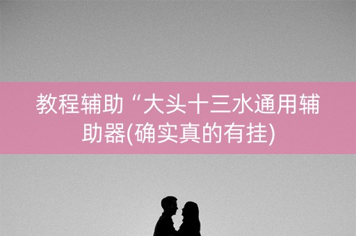 教程辅助“大头十三水通用辅助器(确实真的有挂)