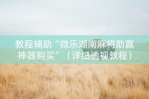教程辅助“微乐湖南麻将助赢神器购买”（详细透视教程）-哔哩哔哩