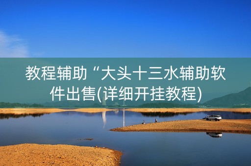 教程辅助“大头十三水辅助软件出售(详细开挂教程)