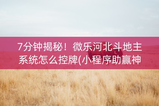 7分钟揭秘！微乐河北斗地主系统怎么控牌(小程序助赢神器)
