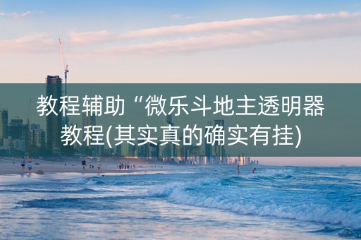 教程辅助“微乐斗地主透明器教程(其实真的确实有挂)