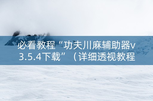 必看教程“功夫川麻辅助器v3.5.4下载”（详细透视教程）-哔哩哔哩
