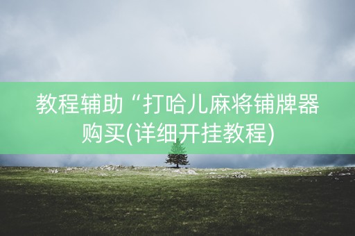 教程辅助“打哈儿麻将铺牌器购买(详细开挂教程)