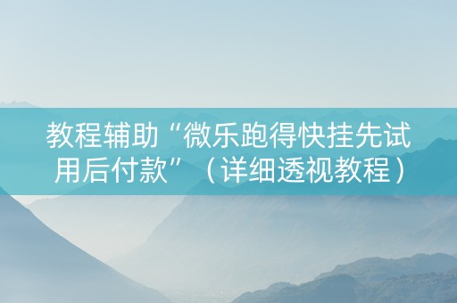 教程辅助“微乐跑得快挂先试用后付款”（详细透视教程）-哔哩哔哩