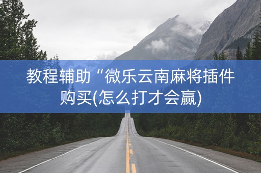 教程辅助“微乐云南麻将插件购买(怎么打才会赢)