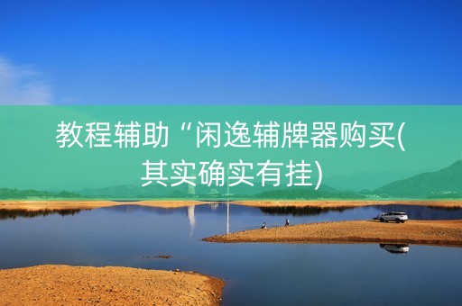 教程辅助“闲逸辅牌器购买(其实确实有挂)