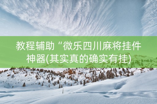 教程辅助“微乐四川麻将挂件神器(其实真的确实有挂)