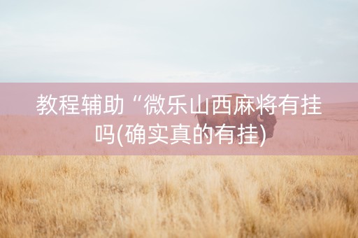 教程辅助“微乐山西麻将有挂吗(确实真的有挂)
