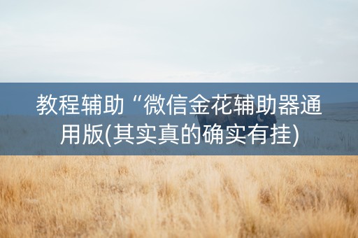教程辅助“微信金花辅助器通用版(其实真的确实有挂)
