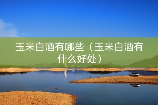 玉米白酒有哪些（玉米白酒有什么好处）