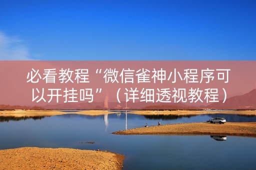 必看教程“微信雀神小程序可以开挂吗”（详细透视教程）-哔哩哔哩