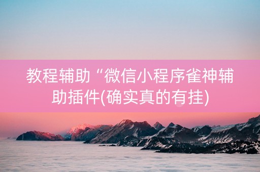 教程辅助“微信小程序雀神辅助插件(确实真的有挂)
