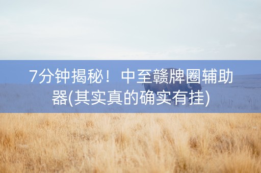 7分钟揭秘！中至赣牌圈辅助器(其实真的确实有挂)