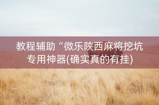 教程辅助“微乐陕西麻将挖坑专用神器(确实真的有挂)