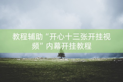 教程辅助“开心十三张开挂视频”内幕开挂教程