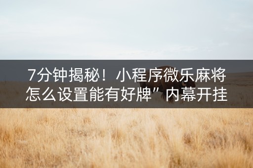 7分钟揭秘！小程序微乐麻将怎么设置能有好牌”内幕开挂教程