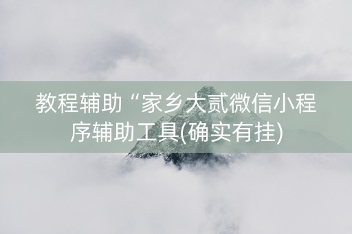 教程辅助“家乡大贰微信小程序辅助工具(确实有挂)