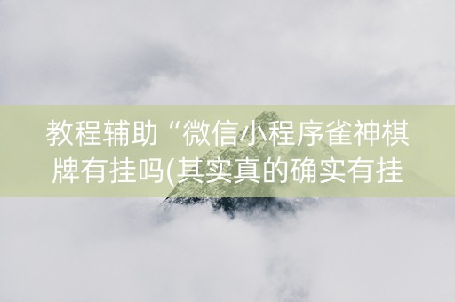 教程辅助“微信小程序雀神棋牌有挂吗(其实真的确实有挂)