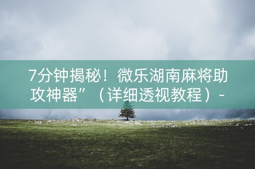 7分钟揭秘！微乐湖南麻将助攻神器”（详细透视教程）-哔哩哔哩
