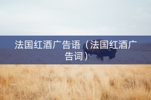 法国红酒广告语（法国红酒广告词）