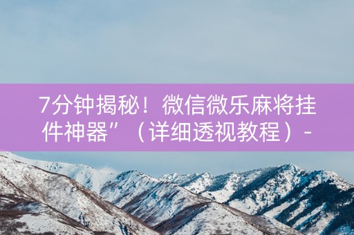 7分钟揭秘！微信微乐麻将挂件神器”（详细透视教程）-哔哩哔哩