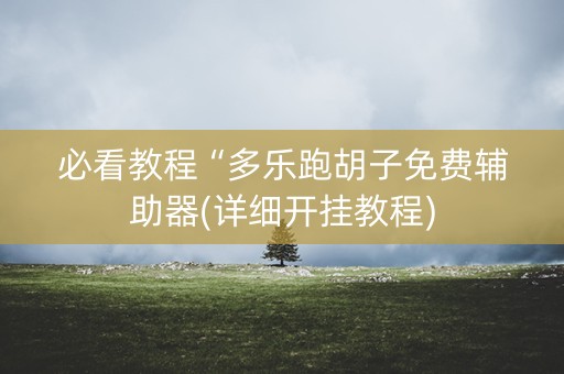 必看教程“多乐跑胡子免费辅助器(详细开挂教程)