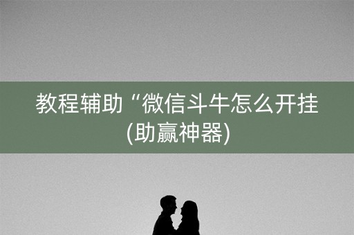 教程辅助“微信斗牛怎么开挂(助赢神器)