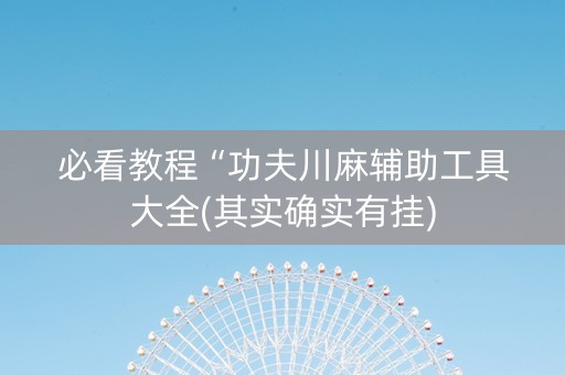 必看教程“功夫川麻辅助工具大全(其实确实有挂)