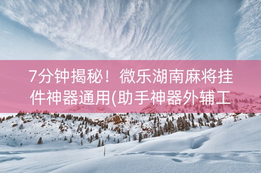 7分钟揭秘！微乐湖南麻将挂件神器通用(助手神器外辅工具)