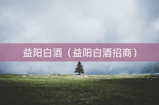 益阳白酒（益阳白酒招商）