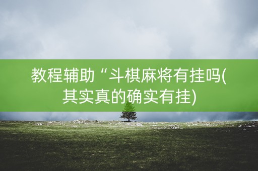 教程辅助“斗棋麻将有挂吗(其实真的确实有挂)