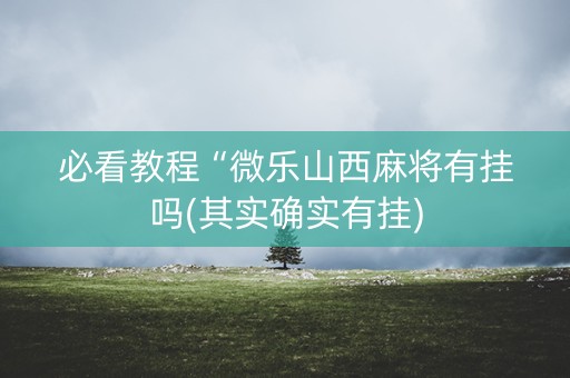 必看教程“微乐山西麻将有挂吗(其实确实有挂)